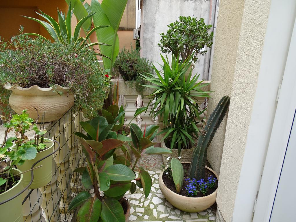 Apartament - Lisa Будва Екстер'єр фото